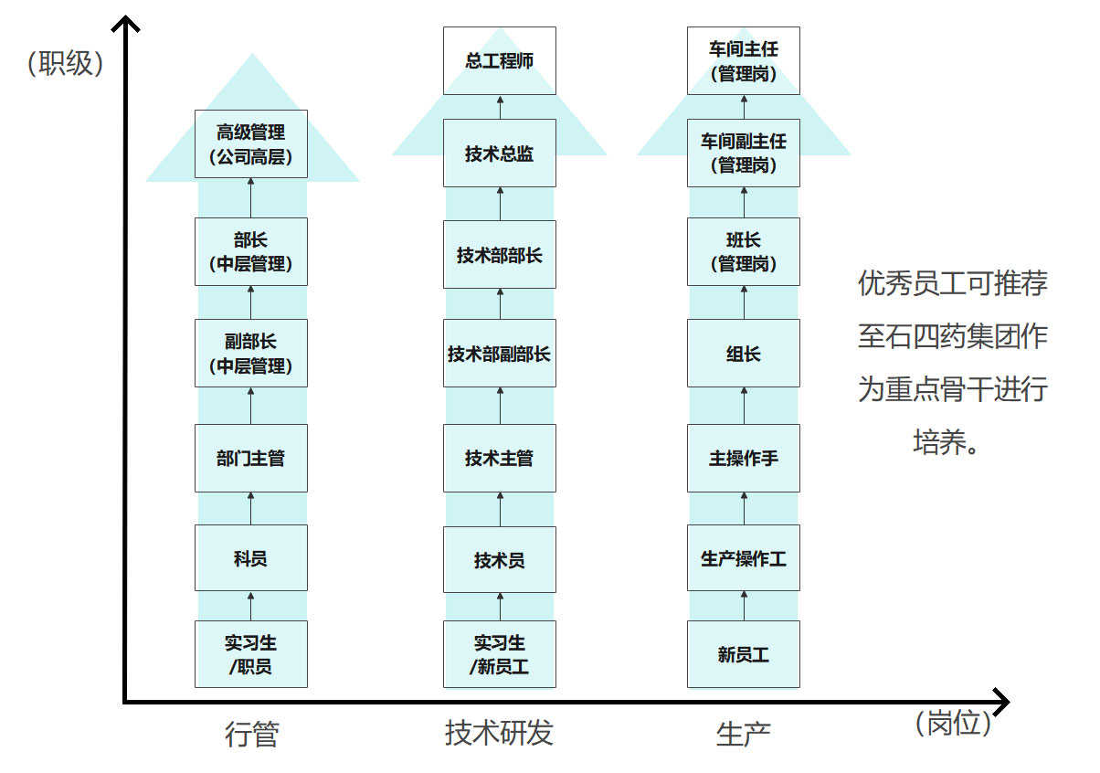 职业发展